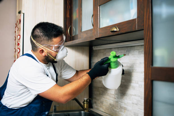 Best Commercial Pest Control Services  in Pis, AR