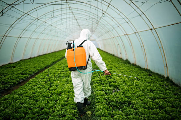 Pest Prevention Services in Paris, AR