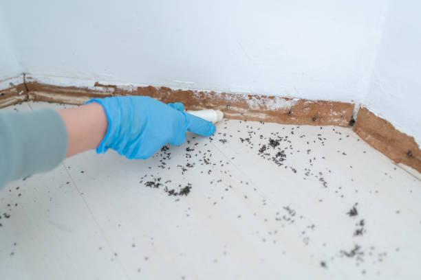  Pis, AR Pest Control Pros