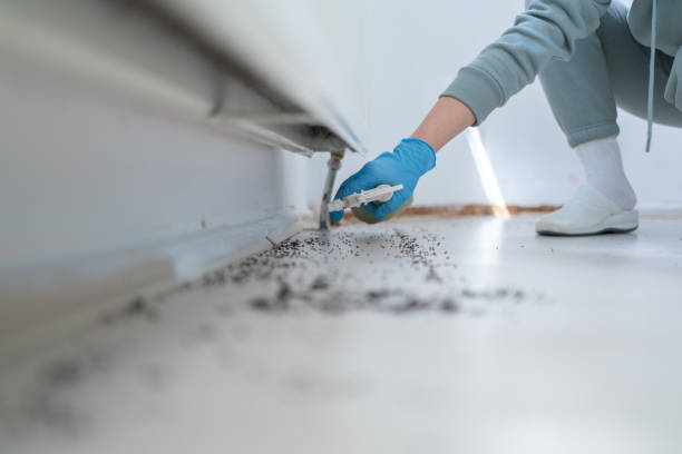 Best Commercial Pest Control Services  in Pis, AR