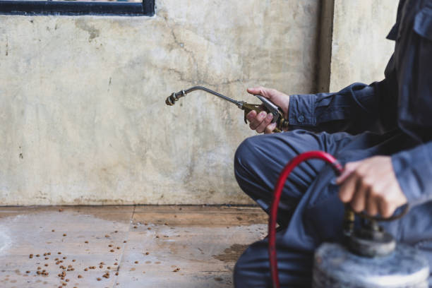 Best Best Pest Control Companies  in Pis, AR